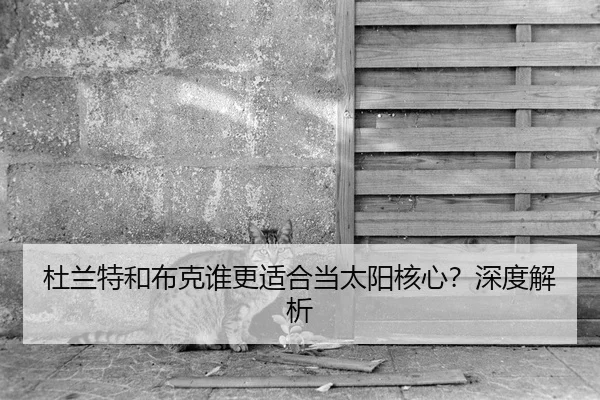 杜兰特和布克谁更适合当太阳核心？深度解析