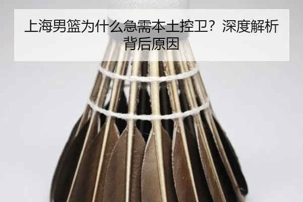 上海男篮为什么急需本土控卫？深度解析背后原因